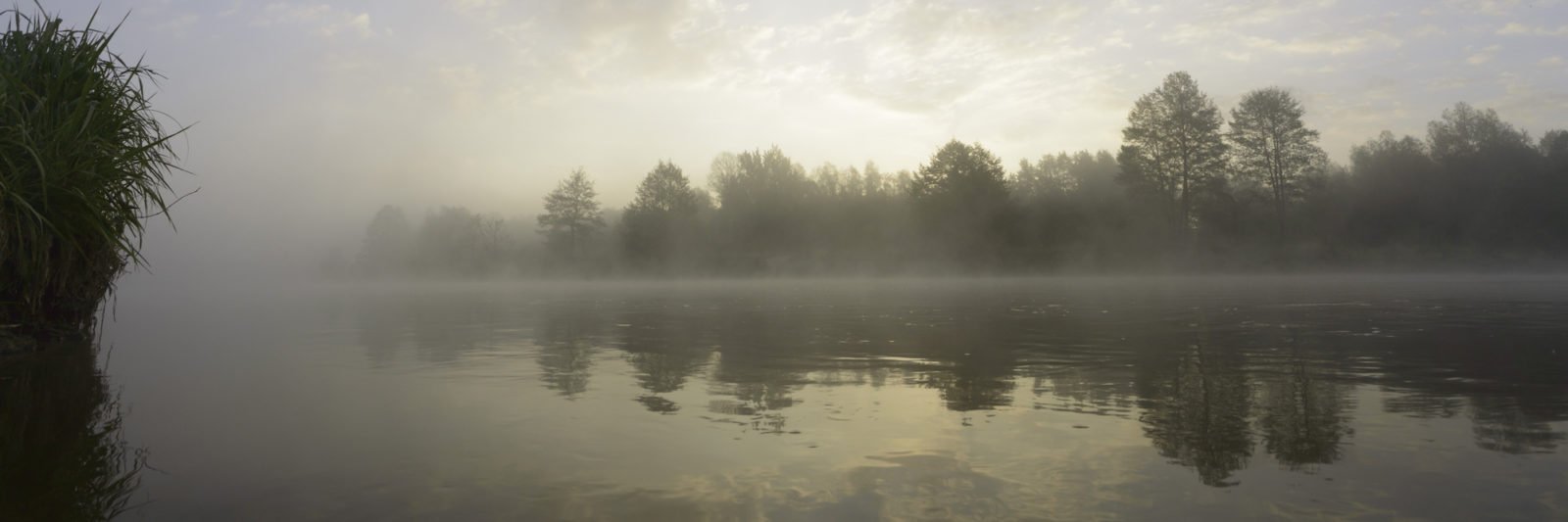 A river with fog on the surface of the water and trees along the bank